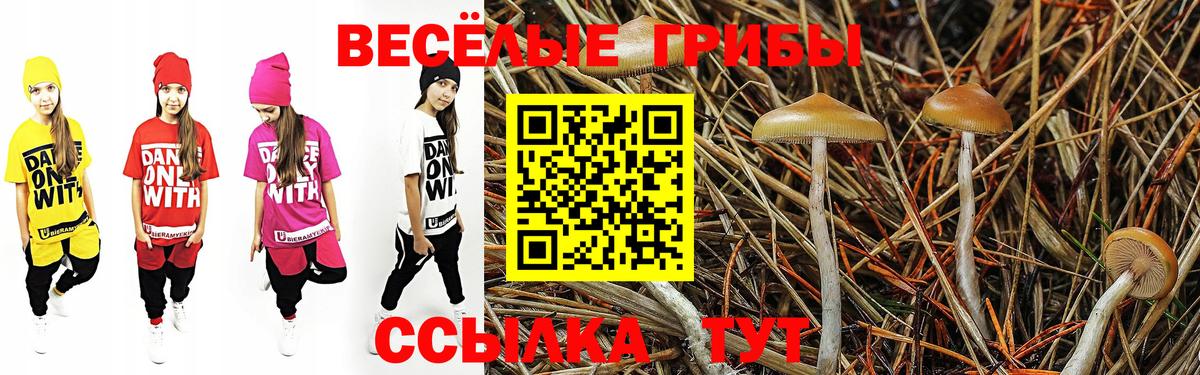Псилоцибиновые грибы MAGIC MUSHROOMS  Вход с VPN  Малоярославец 