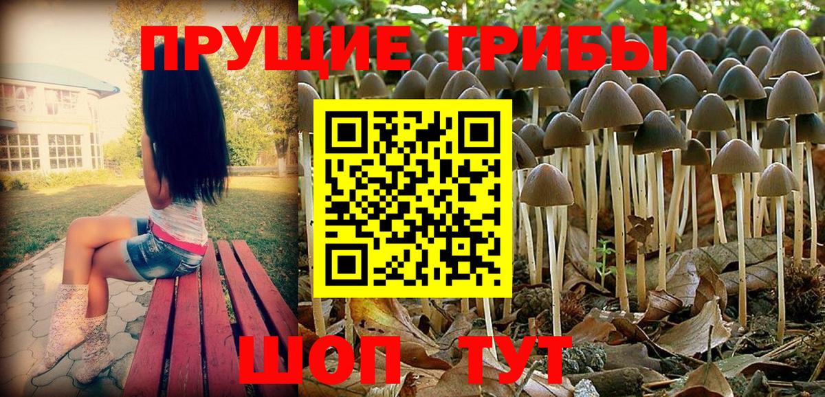 Галлюциногенные грибы GOLDEN TEACHER Малоярославец
